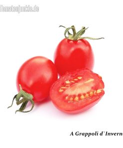 A Grappoli d’Inverno
